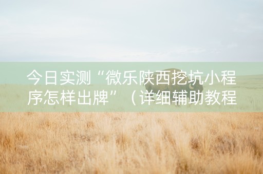 今日实测“微乐陕西挖坑小程序怎样出牌”（详细辅助教程）-哔哩哔哩