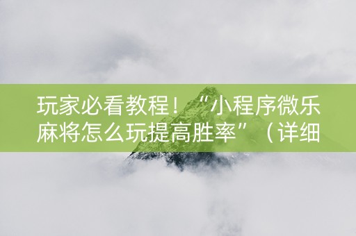 玩家必看教程！“小程序微乐麻将怎么玩提高胜率”（详细开挂教程）-哔哩哔哩