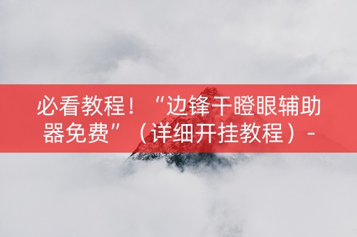 必看教程！“边锋干瞪眼辅助器免费”（详细开挂教程）-哔哩哔哩