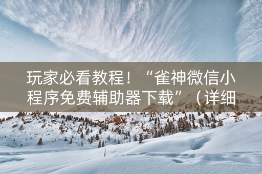 玩家必看教程！“雀神微信小程序免费辅助器下载”（详细开挂教程）-哔哩哔哩