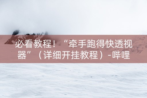 必看教程！“牵手跑得快透视器”（详细开挂教程）-哔哩哔哩