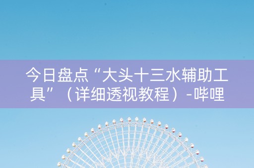 今日盘点“大头十三水辅助工具”（详细透视教程）-哔哩哔哩