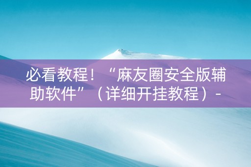 必看教程！“麻友圈安全版辅助软件”（详细开挂教程）-哔哩哔哩