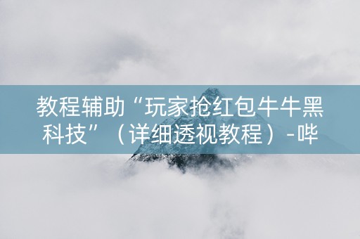 教程辅助“玩家抢红包牛牛黑科技”（详细透视教程）-哔哩哔哩