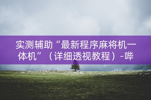 实测辅助“最新程序麻将机一体机”（详细透视教程）-哔哩哔哩