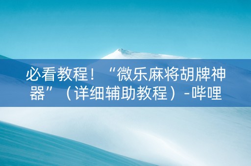 必看教程！“微乐麻将胡牌神器”（详细辅助教程）-哔哩哔哩