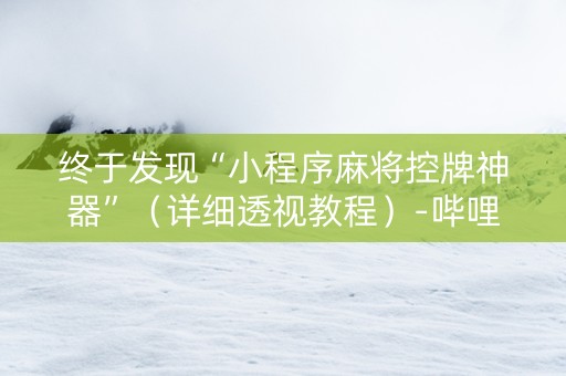 终于发现“小程序麻将控牌神器”（详细透视教程）-哔哩哔哩