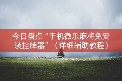 今日盘点“手机微乐麻将免安装控牌器”（详细辅助教程）-哔哩哔哩
