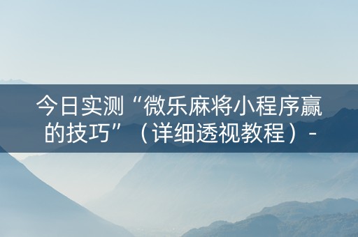 今日实测“微乐麻将小程序赢的技巧”（详细透视教程）-哔哩哔哩