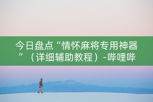 今日盘点“情怀麻将专用神器”（详细辅助教程）-哔哩哔哩