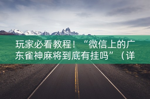 玩家必看教程！“微信上的广东雀神麻将到底有挂吗”（详细辅助教程）-哔哩哔哩