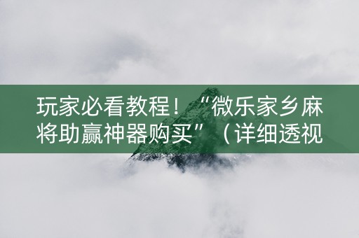 玩家必看教程！“微乐家乡麻将助赢神器购买”（详细透视教程）-哔哩哔哩