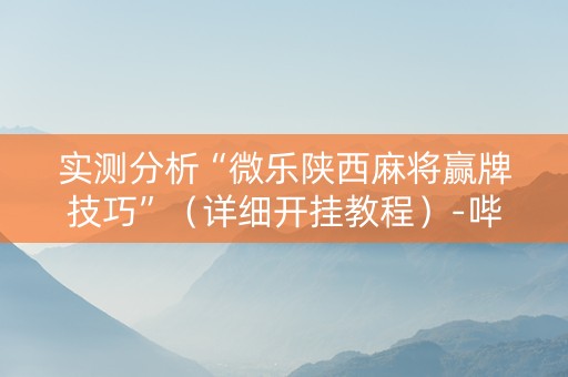 实测分析“微乐陕西麻将赢牌技巧”（详细开挂教程）-哔哩哔哩