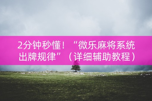 2分钟秒懂！“微乐麻将系统出牌规律”（详细辅助教程）-哔哩哔哩