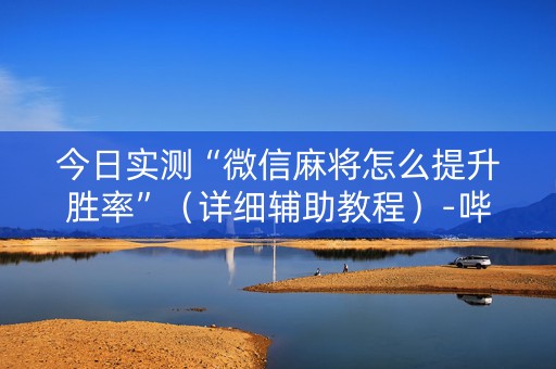 今日实测“微信麻将怎么提升胜率”（详细辅助教程）-哔哩哔哩