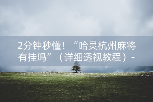2分钟秒懂！“哈灵杭州麻将有挂吗”（详细透视教程）-哔哩哔哩