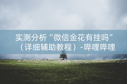实测分析“微信金花有挂吗”（详细辅助教程）-哔哩哔哩