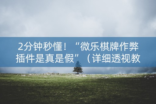 2分钟秒懂！“微乐棋牌作弊插件是真是假”（详细透视教程）-哔哩哔哩