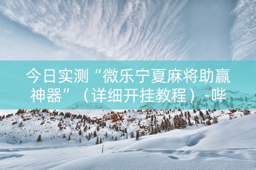 今日实测“微乐宁夏麻将助赢神器”（详细开挂教程）-哔哩哔哩