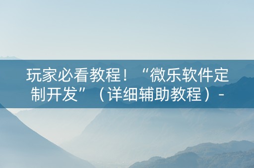 玩家必看教程！“微乐软件定制开发”（详细辅助教程）-哔哩哔哩