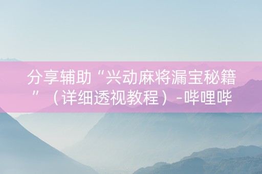 分享辅助“兴动麻将漏宝秘籍”（详细透视教程）-哔哩哔哩