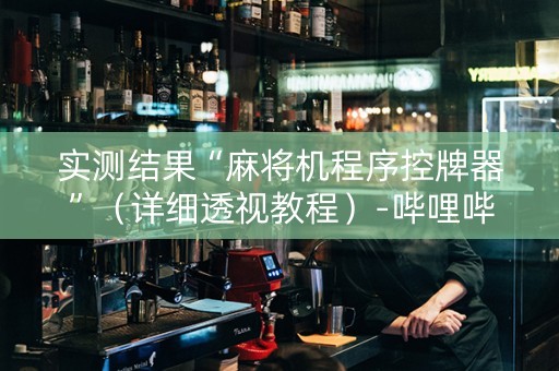 实测结果“麻将机程序控牌器”（详细透视教程）-哔哩哔哩