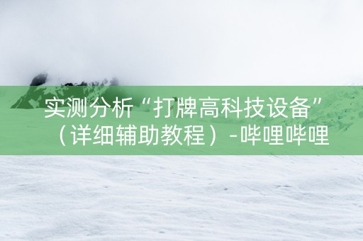 实测分析“打牌高科技设备”（详细辅助教程）-哔哩哔哩