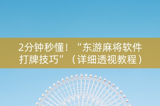 2分钟秒懂！“东游麻将软件打牌技巧”（详细透视教程）-哔哩哔哩
