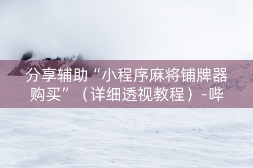 分享辅助“小程序麻将铺牌器购买”（详细透视教程）-哔哩哔哩