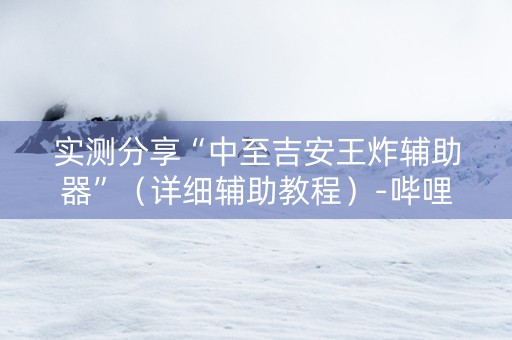 实测分享“中至吉安王炸辅助器”（详细辅助教程）-哔哩哔哩