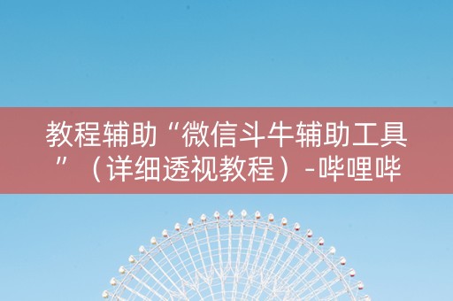 教程辅助“微信斗牛辅助工具”（详细透视教程）-哔哩哔哩