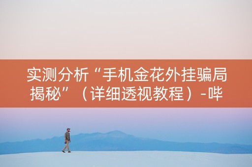 实测分析“手机金花外挂骗局揭秘”（详细透视教程）-哔哩哔哩