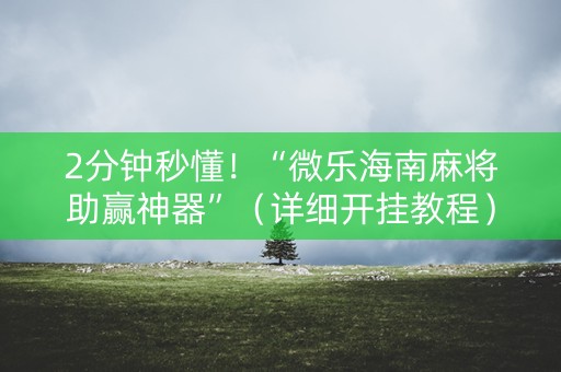 2分钟秒懂！“微乐海南麻将助赢神器”（详细开挂教程）-哔哩哔哩