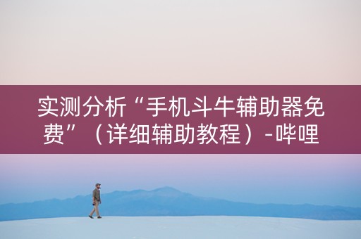 实测分析“手机斗牛辅助器免费”（详细辅助教程）-哔哩哔哩