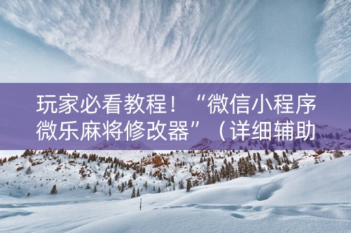 玩家必看教程！“微信小程序微乐麻将修改器”（详细辅助教程）-哔哩哔哩