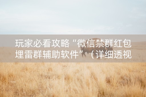 玩家必看攻略“微信禁群红包埋雷群辅助软件”（详细透视教程）-哔哩哔哩