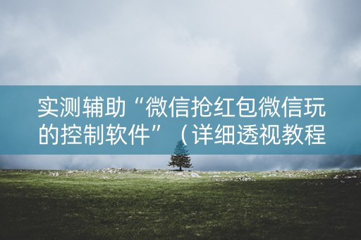 实测辅助“微信抢红包微信玩的控制软件”（详细透视教程）-哔哩哔哩