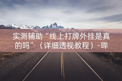 实测辅助“线上打牌外挂是真的吗”（详细透视教程）-哔哩哔哩