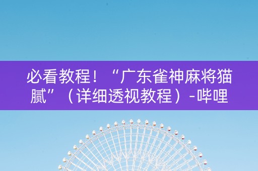 必看教程！“广东雀神麻将猫腻”（详细透视教程）-哔哩哔哩