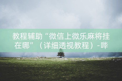 教程辅助“微信上微乐麻将挂在哪”（详细透视教程）-哔哩哔哩