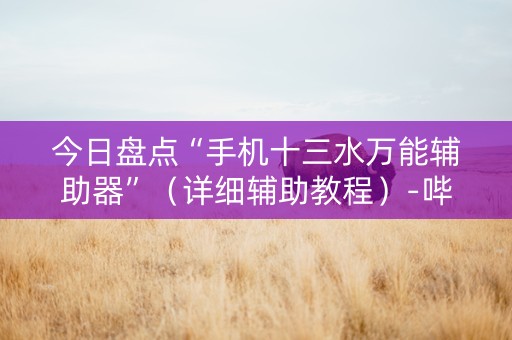 今日盘点“手机十三水万能辅助器”（详细辅助教程）-哔哩哔哩