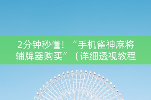 2分钟秒懂！“手机雀神麻将辅牌器购买”（详细透视教程）-哔哩哔哩