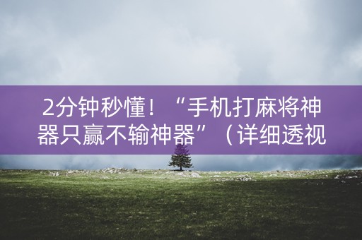 2分钟秒懂！“手机打麻将神器只赢不输神器”（详细透视教程）-哔哩哔哩