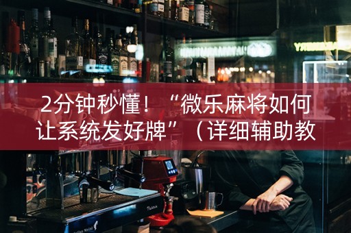 2分钟秒懂！“微乐麻将如何让系统发好牌”（详细辅助教程）-哔哩哔哩