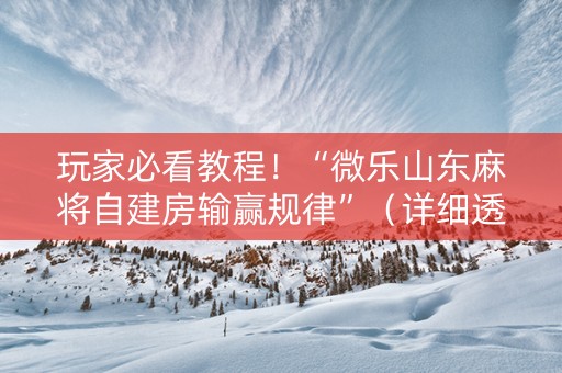 玩家必看教程！“微乐山东麻将自建房输赢规律”（详细透视教程）-哔哩哔哩