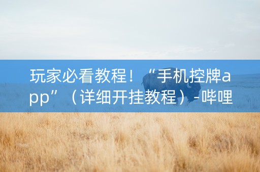 玩家必看教程！“手机控牌app”（详细开挂教程）-哔哩哔哩