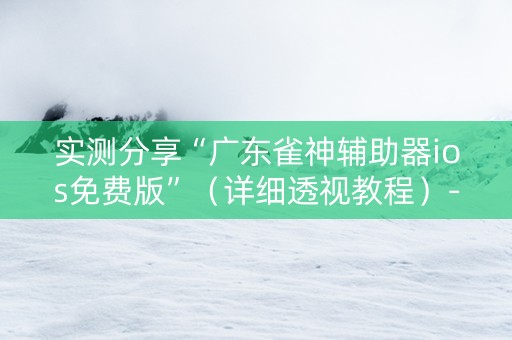 实测分享“广东雀神辅助器ios免费版”（详细透视教程）-哔哩哔哩