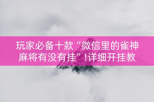 玩家必备十款“微信里的雀神麻将有没有挂”!详细开挂教程-知乎