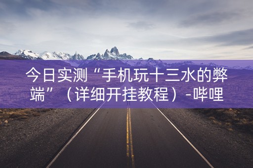 今日实测“手机玩十三水的弊端”（详细开挂教程）-哔哩哔哩