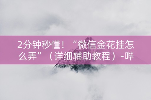 2分钟秒懂！“微信金花挂怎么弄”（详细辅助教程）-哔哩哔哩